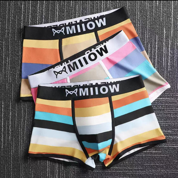 Miiow Men underwear 3PCS