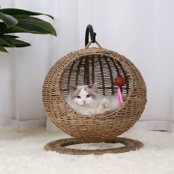 Cat swing house